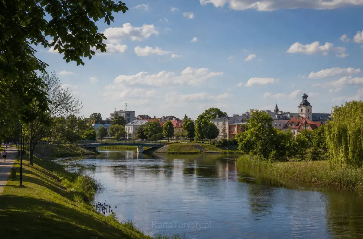 Zambrów