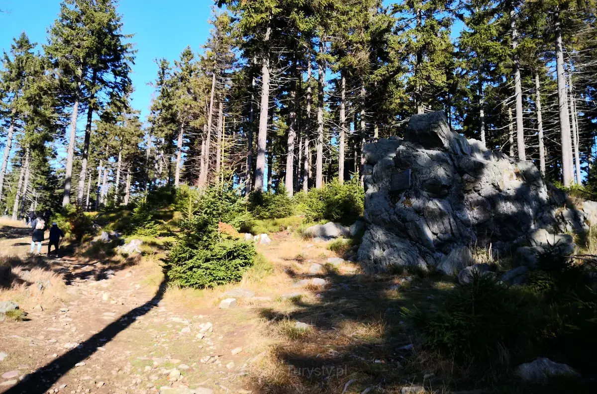 Bear Rock