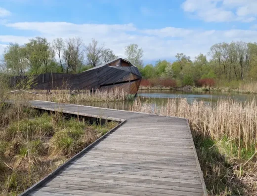 Beaver camp