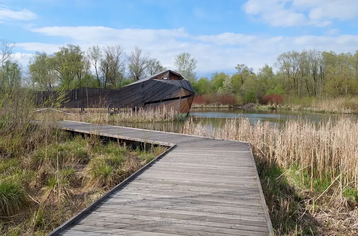 Beaver camp