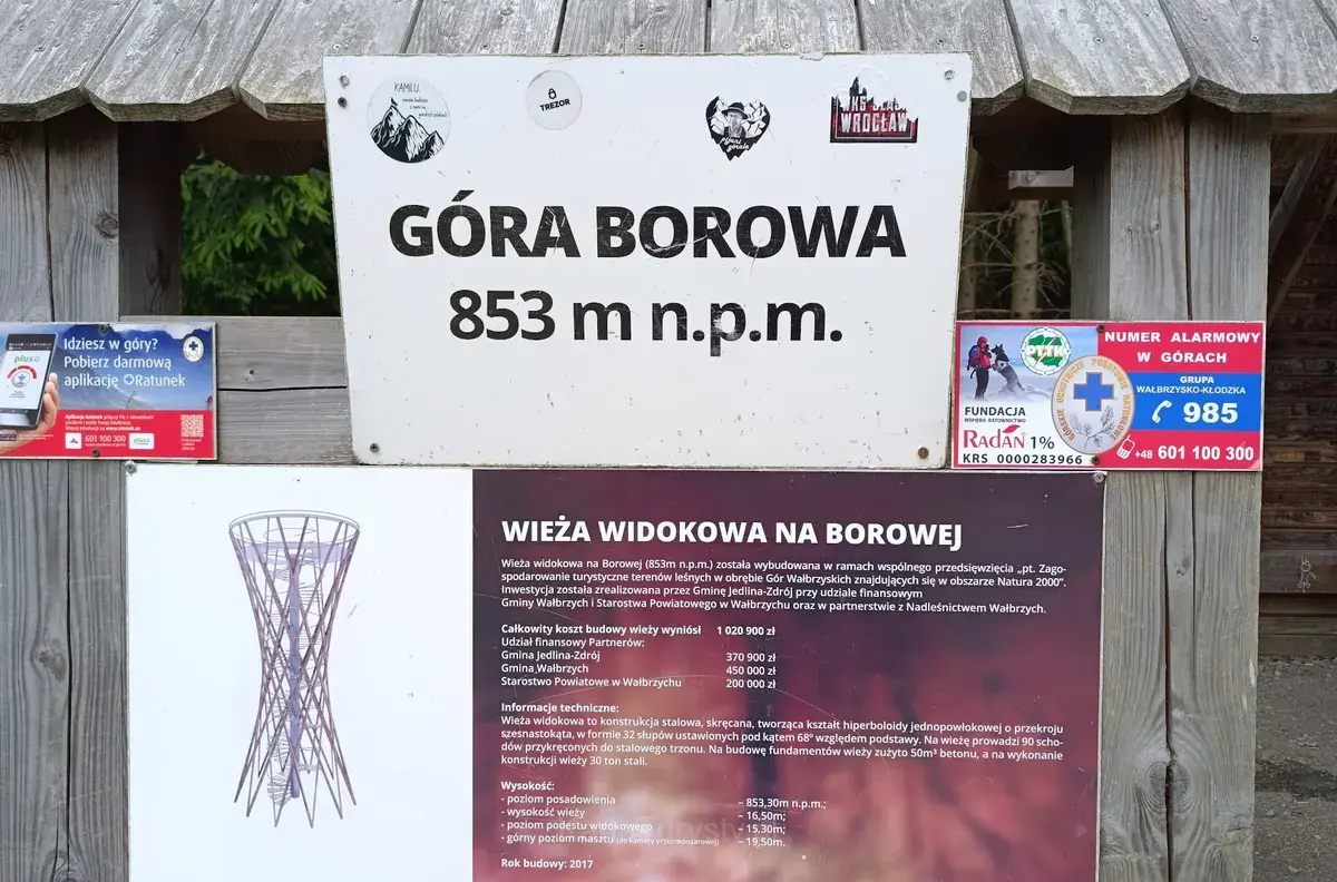 Borowa
