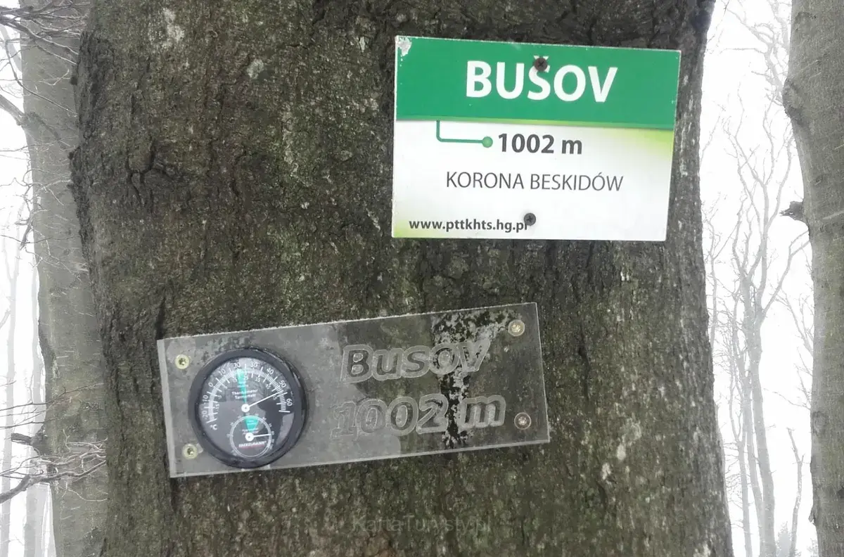 Busov