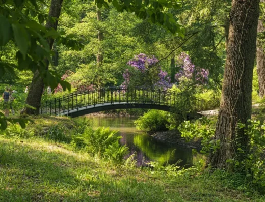Castle Park Moszna, Moszna