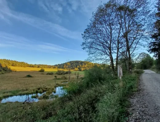 Cerkwisko- Radocyna