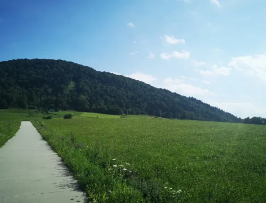 Chełm (Beskid Niski)
