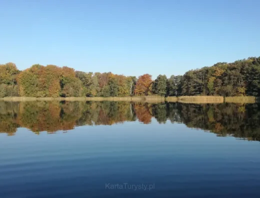 Chłop