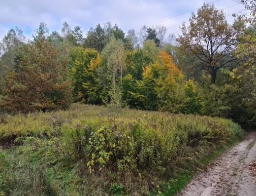 chmielna pit gorge