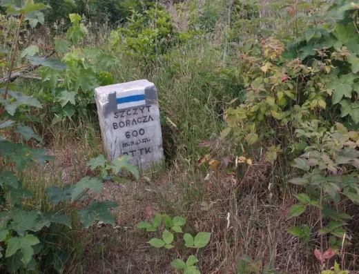 Czarny Bór