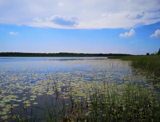 Directorate of Poleski National Park