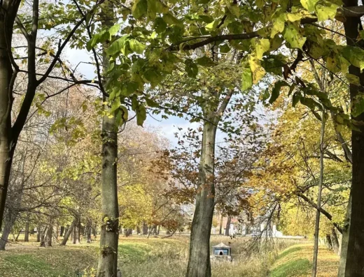 Domek na wodzie – Park Pałacowy
