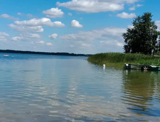 Dominikańskie