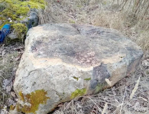 Dziewicza Góra