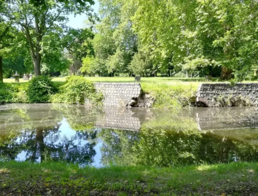 Fontanna Pałacowa „Żaba”