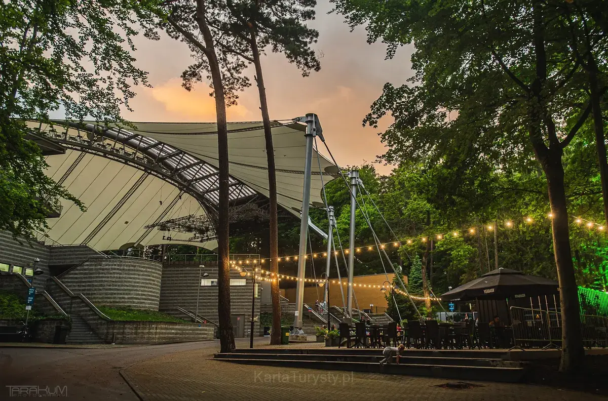 Forest Opera