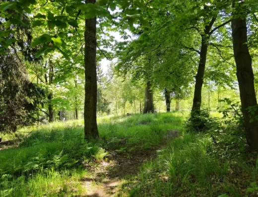 Góra Mniszek