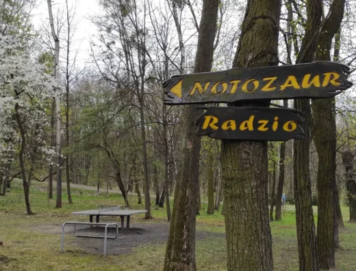 Grota Notozaura