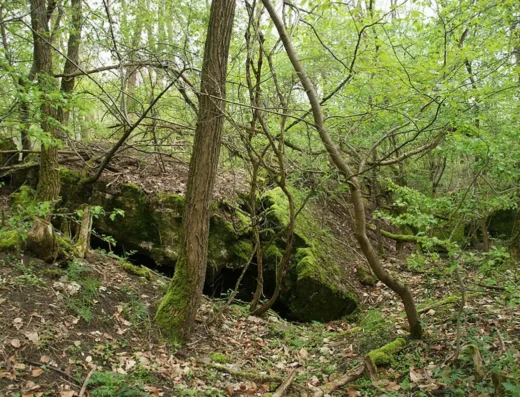 Group fortified Marianowo