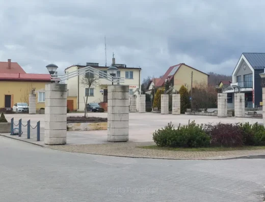 Gwarek miedzianogórski