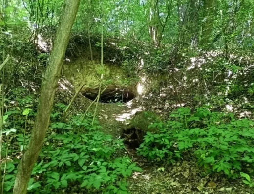 Jaskinia Nałęczowska u podnóża Łysej Góry