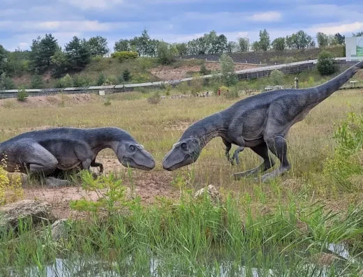JuraPark Krasiejów (2)
