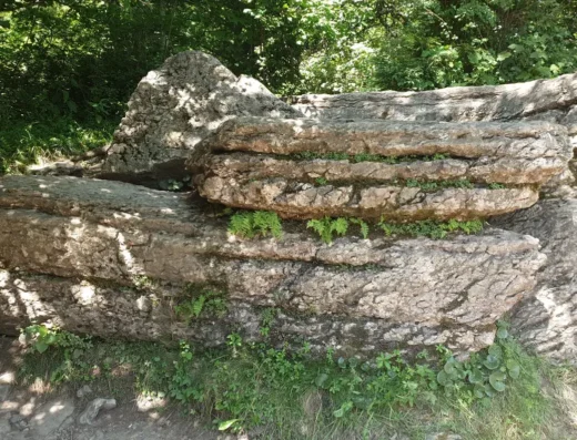 Kamienne księgi