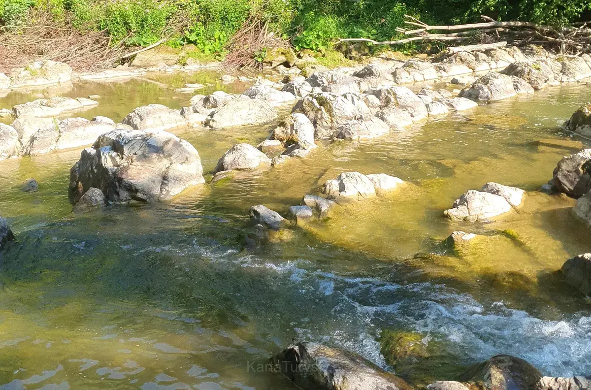 Kaskady na potoku Osława (Węzeł szlaków – Duszatyn)