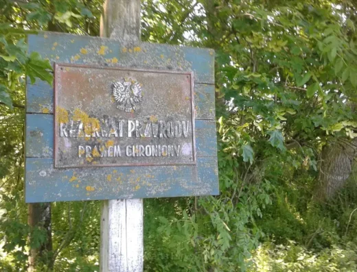 Kijewo Królewskie