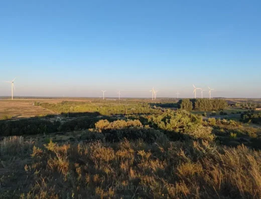 Kleczew