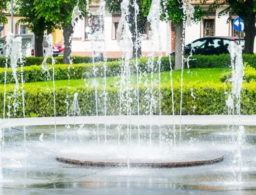 Książ Wielkopolski