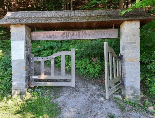 Leśny Park Zdrojowy