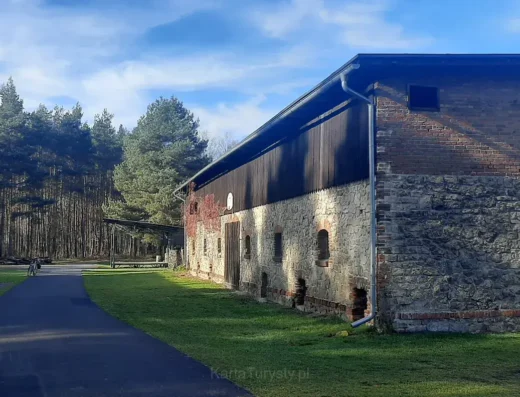 Letnia Leśna Izba edukacyjno-turystyczna (2)