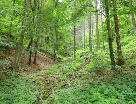 Mały Kicarz