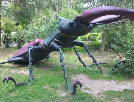 Mikrokosmos – przyrodniczy park tematyczny (5)