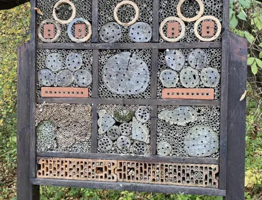 Mini ścieżka edukacyjna- przyrodnicza