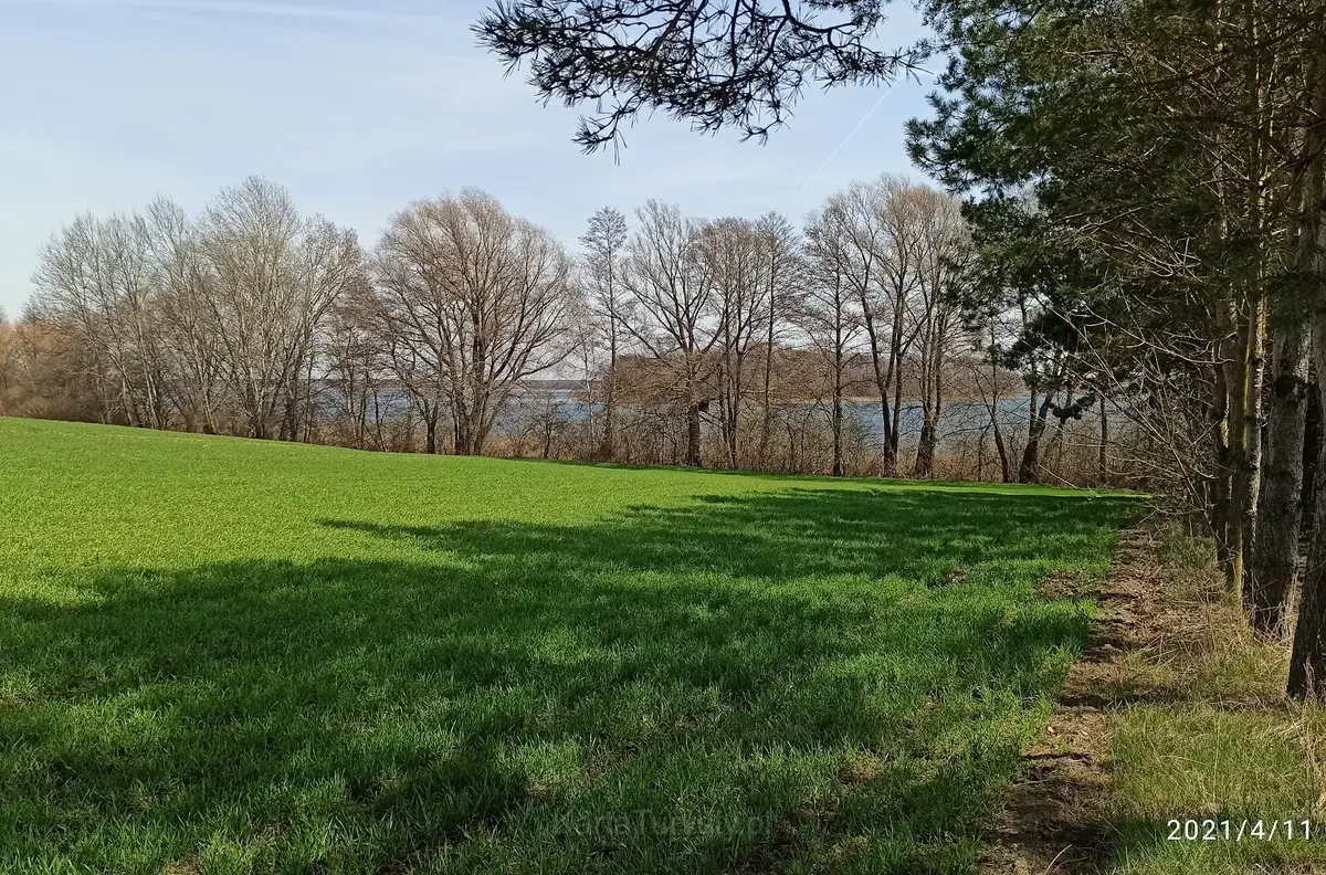 Niedzięgiel (Skorzęcińskie)