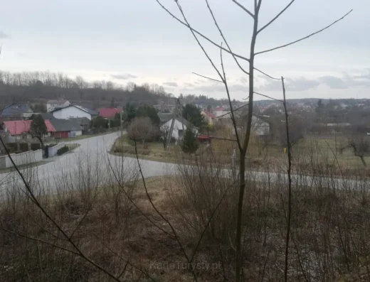 Odsłonięcia skał