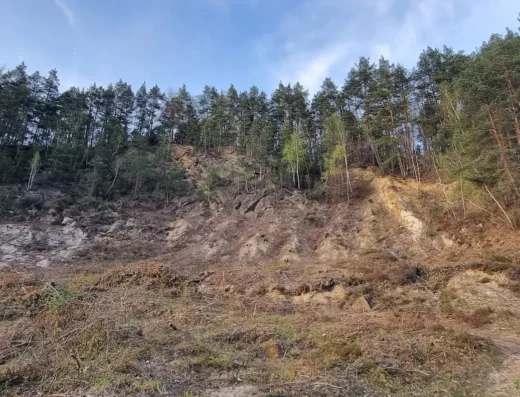 Odsłonięcie skalne