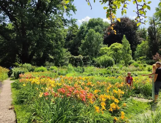 Ogród Botaniczny Uniwersytetu Warszawskiego