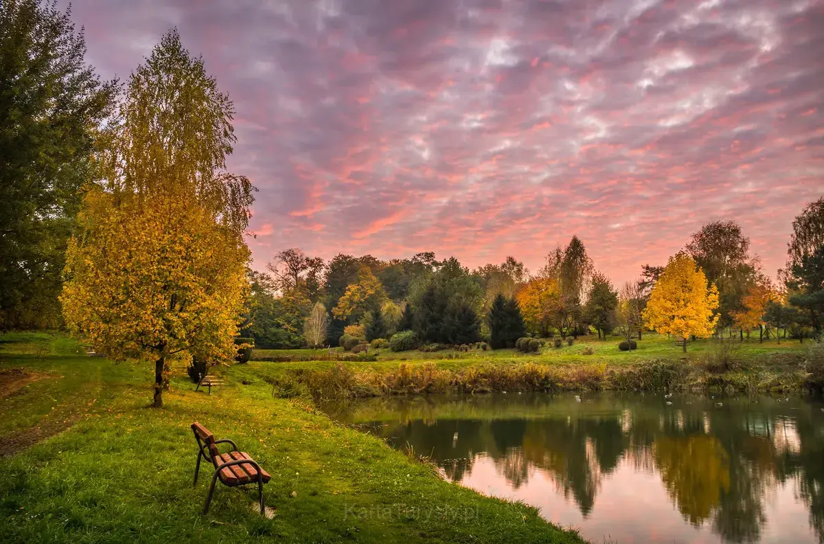 Park Buczyna