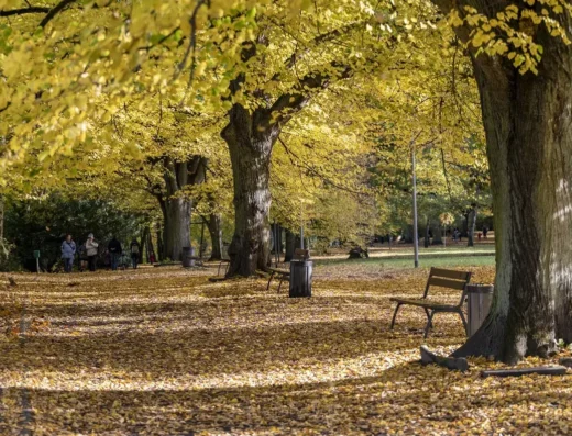 Park Kasprowicza