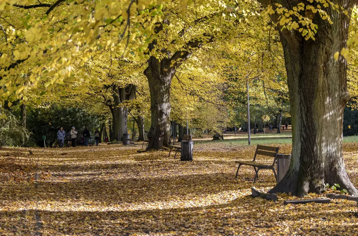 Park Kasprowicza