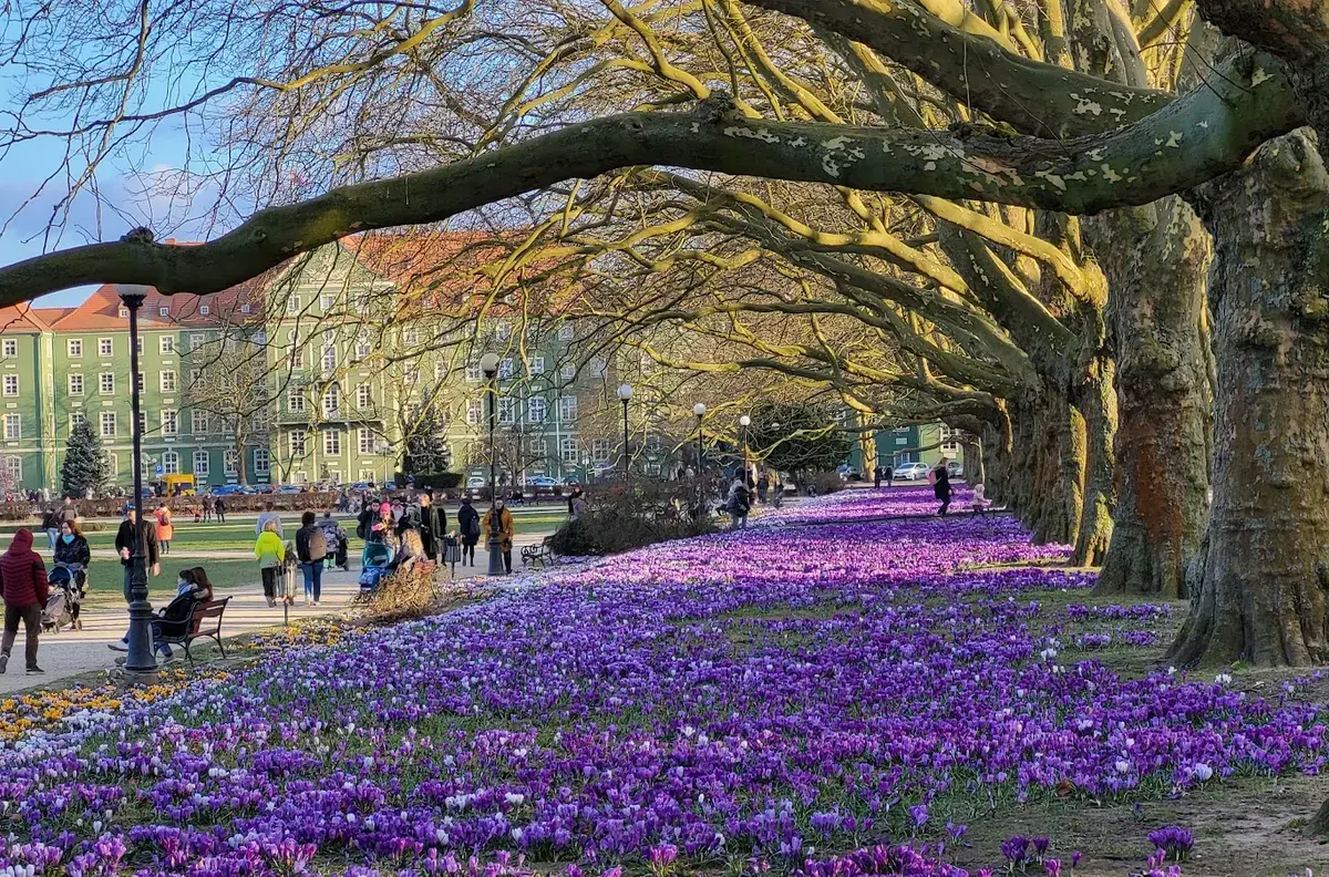 Park Kasprowicza