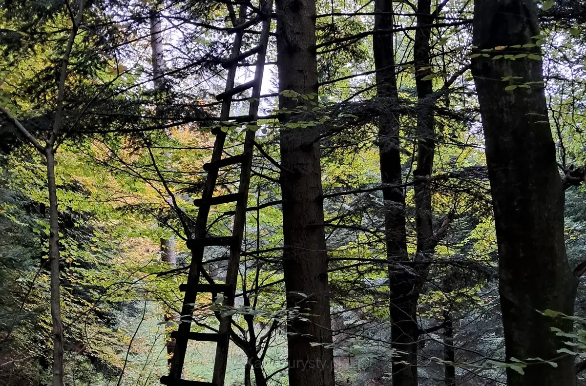Park Krajobrazowy Gór Słonnych