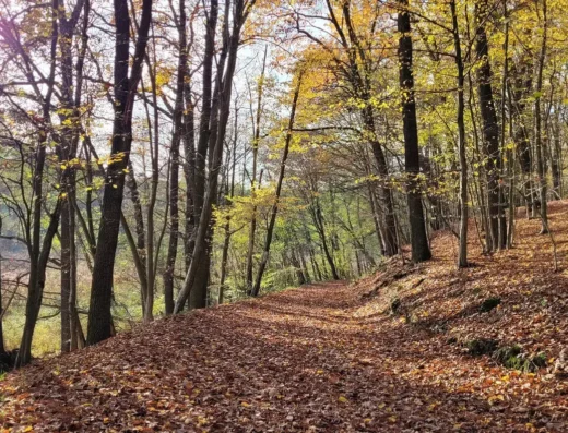 Park Krajobrazowy Promno