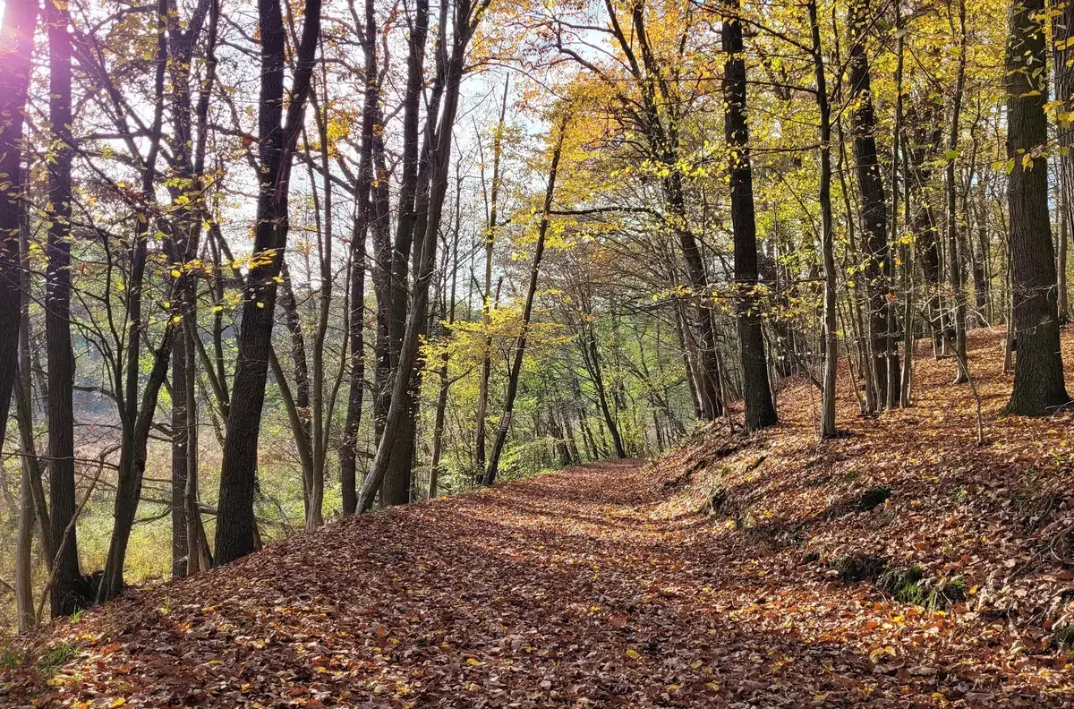 Park Krajobrazowy Promno
