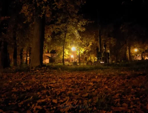 Park Legionów