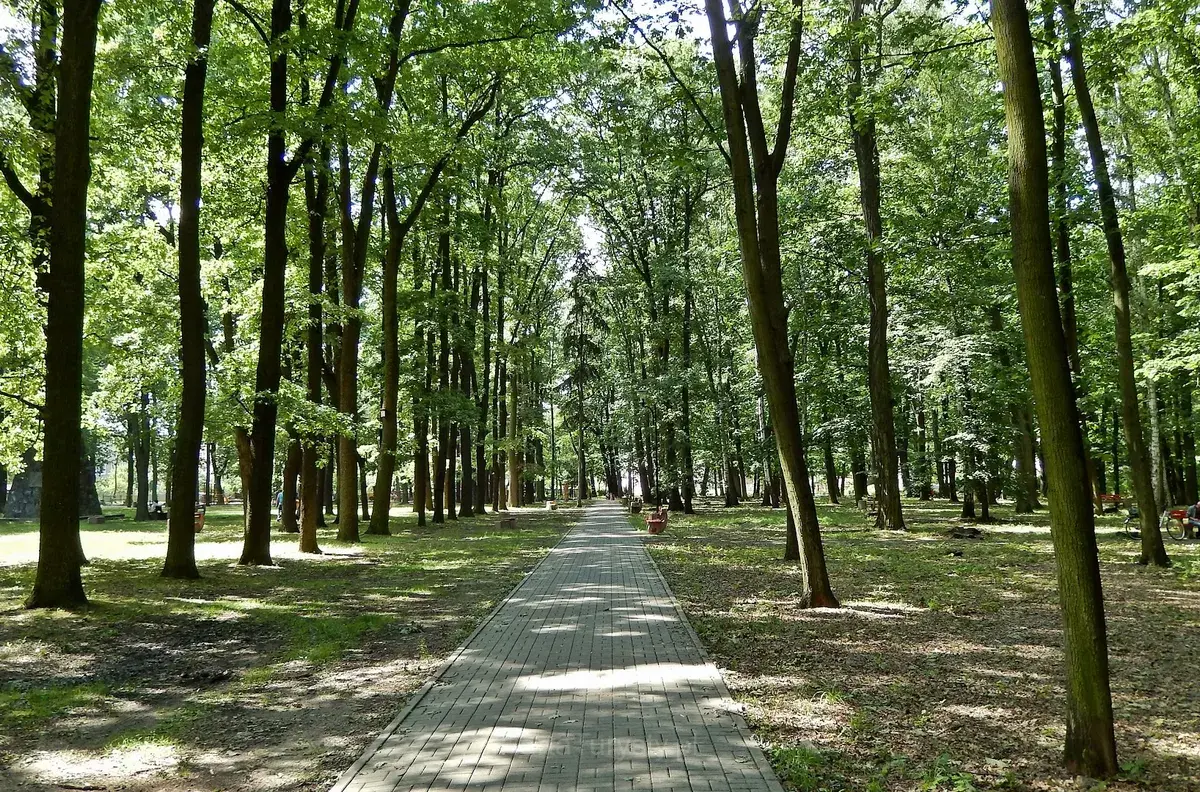 Park Miejski (14)