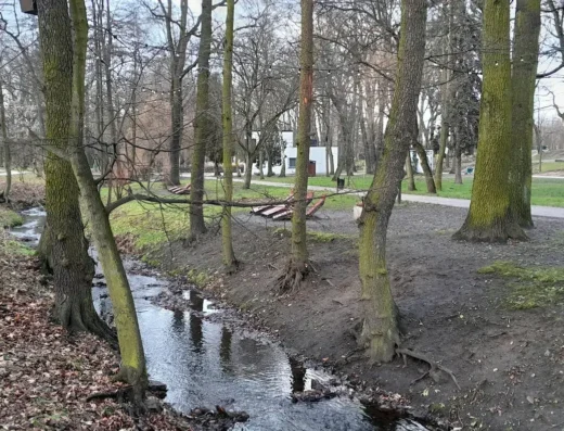 Park Miejski Zawiercie