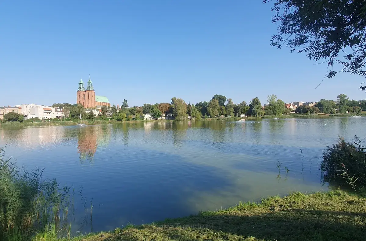 Park Piastowski (2)