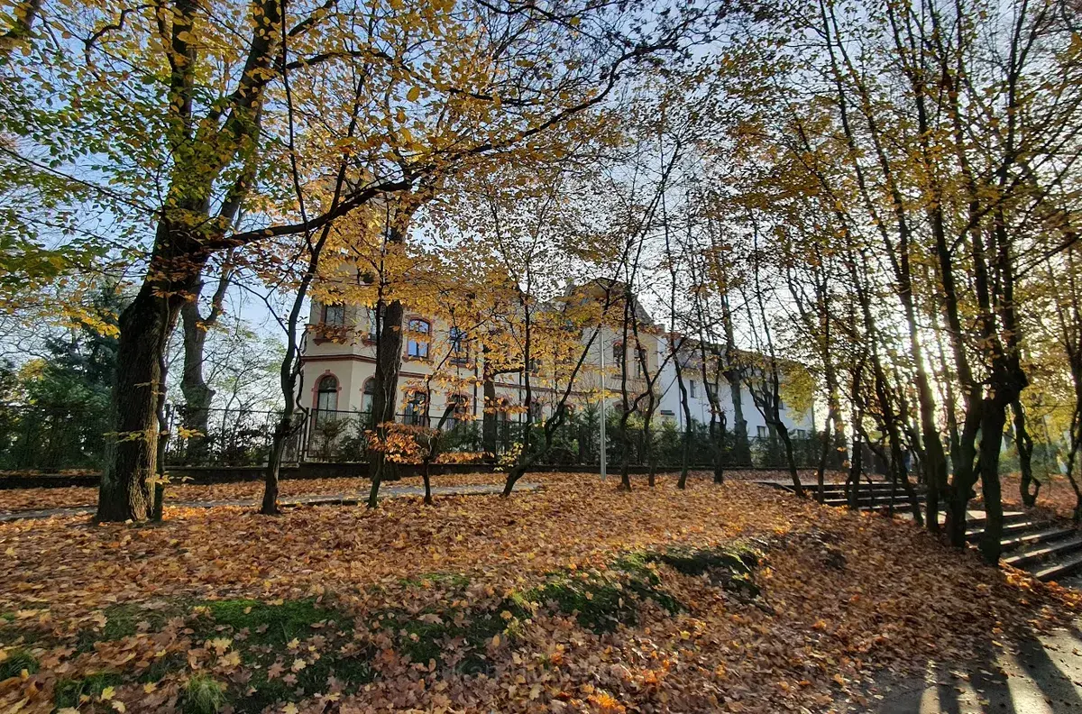 Park Piastowski (2)